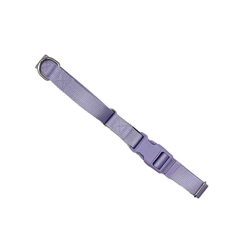 Martingale Dog Collar - Purrfect Pet Kingdom