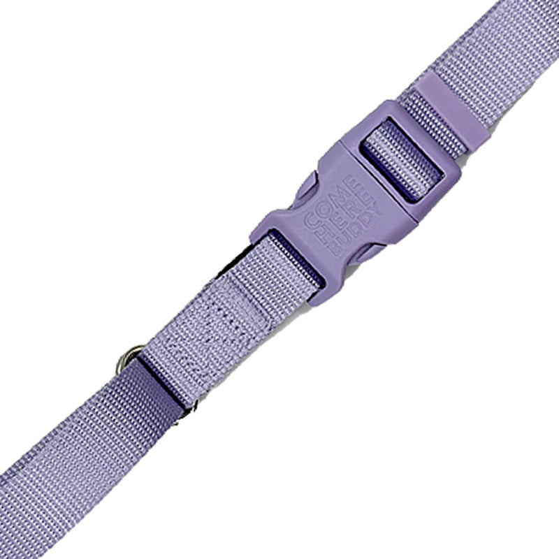 Martingale Dog Collar - Purrfect Pet Kingdom