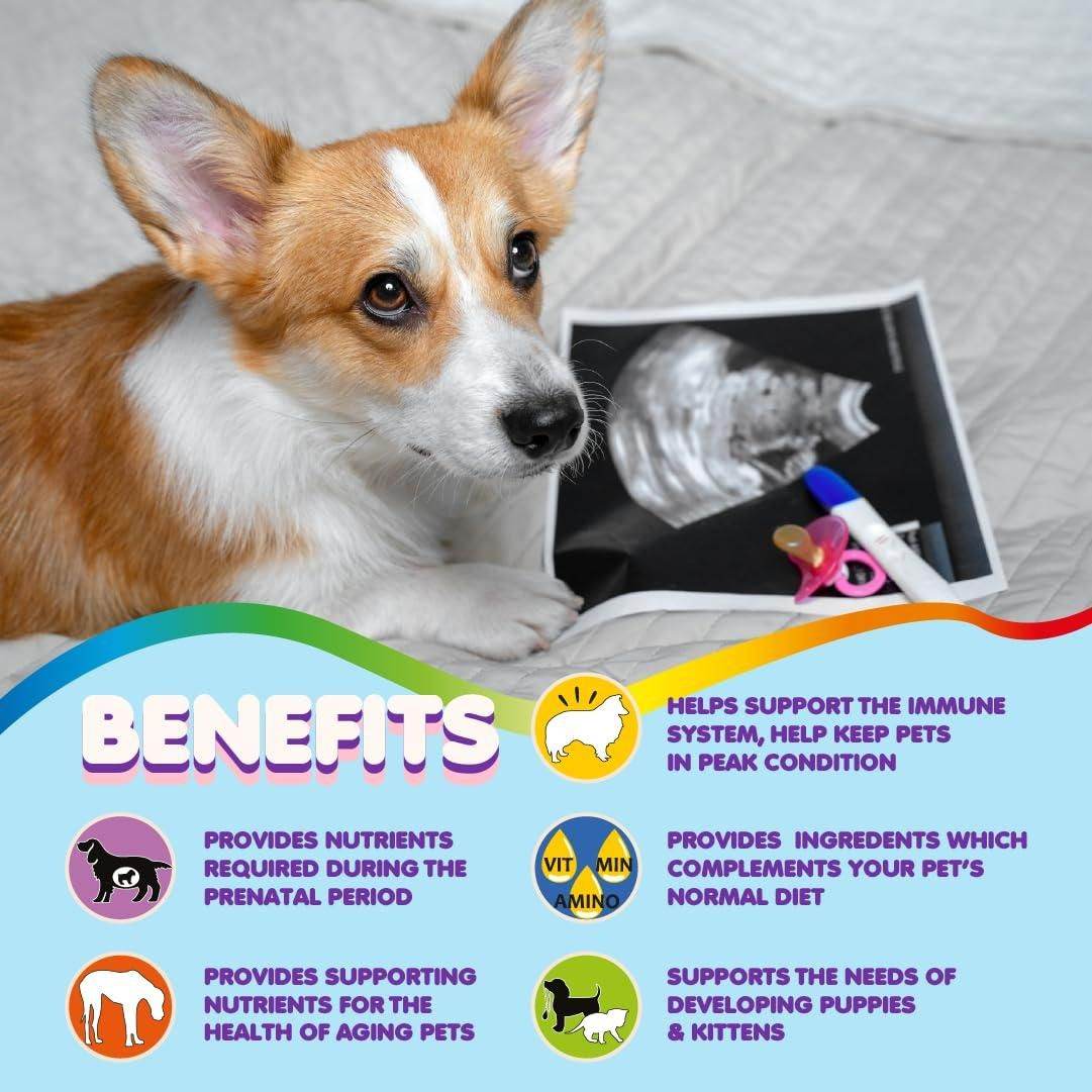 Purrfect Pet Kingdom Chewable Pet Prenatal Supplement Purrfect Pet Kingdom