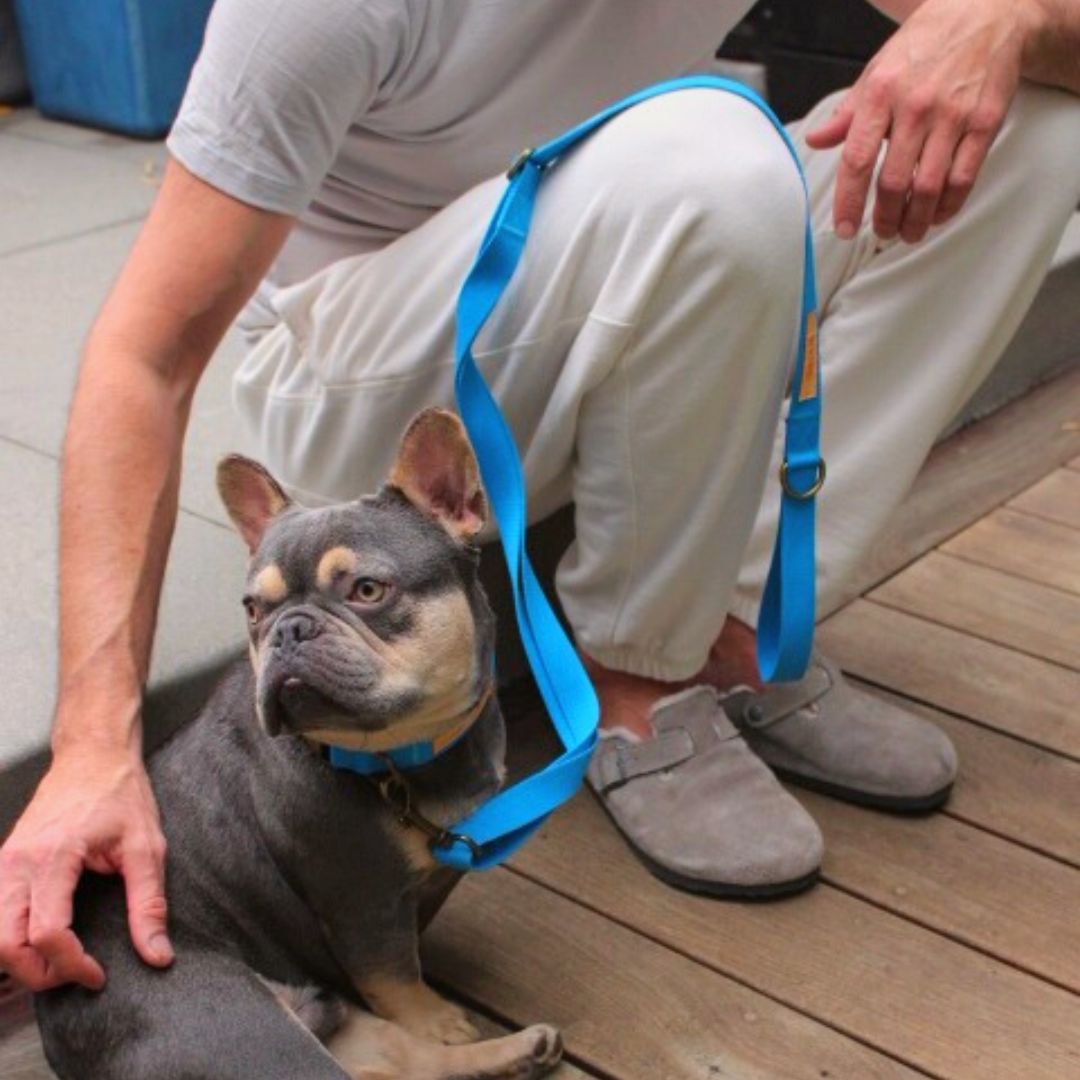 Malibu Sunset Sustainable Hemp Cotton Adjustable Dog Collar– Durable & Soft