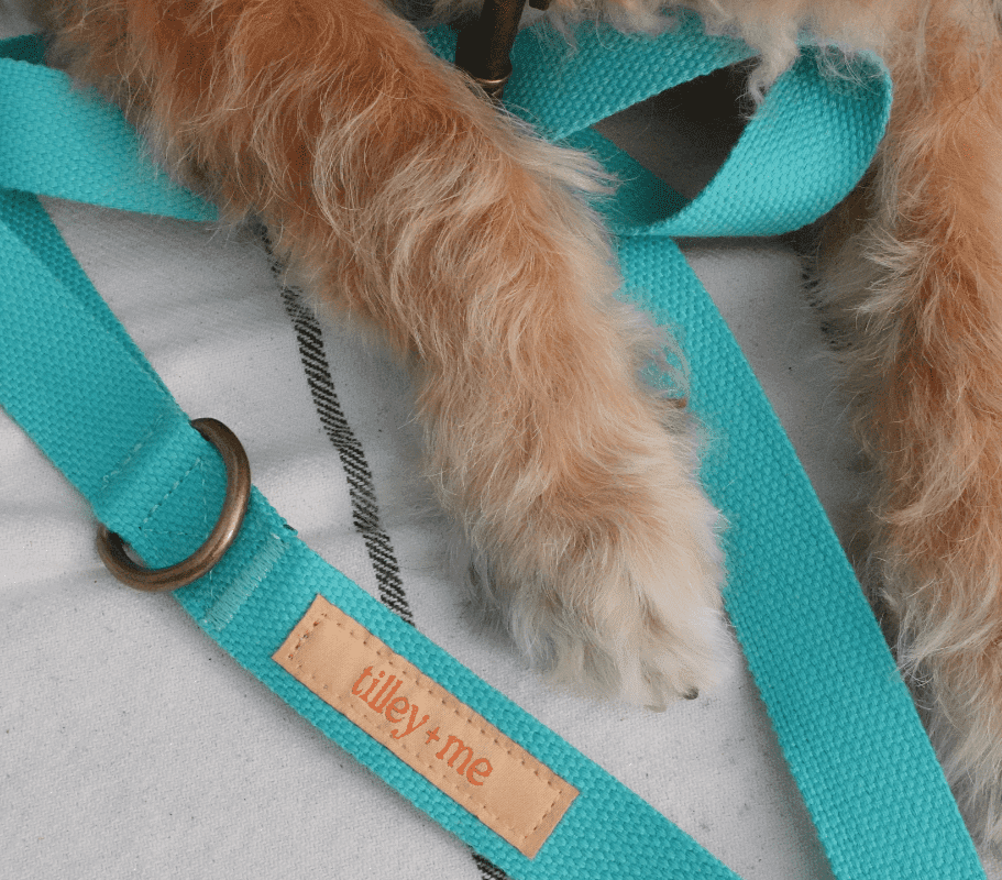 Dog Leash Hemp Cotton Sustainable Blue 🦮