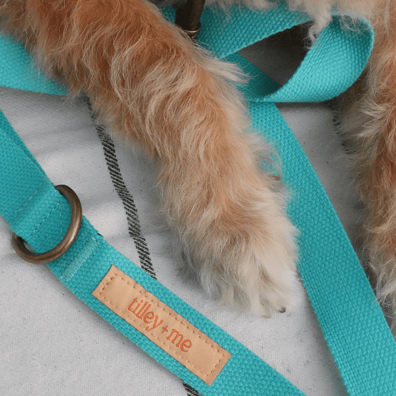 Malibu Sunset Sustainable Hemp Cotton Adjustable Dog Collar– Durable & Soft - Collars + Leashes - Tilley + Me