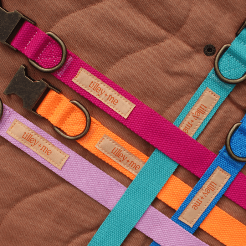 Malibu Sunset Sustainable Hemp Cotton Adjustable Dog Collar– Durable & Soft - Collars + Leashes - Tilley + Me