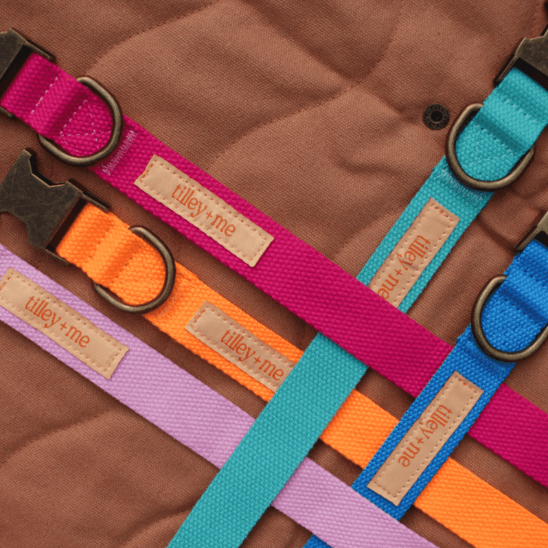 Dog Leash Hemp Cotton Sustainable Blue 🦮