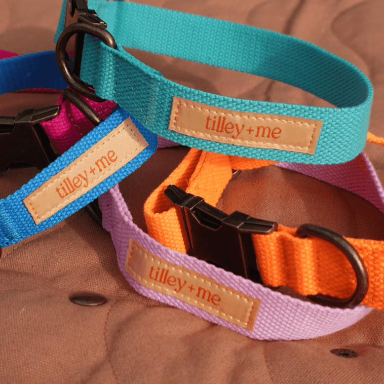 Malibu Sunset Sustainable Hemp Cotton Adjustable Dog Collar– Durable & Soft - Collars + Leashes - Tilley + Me