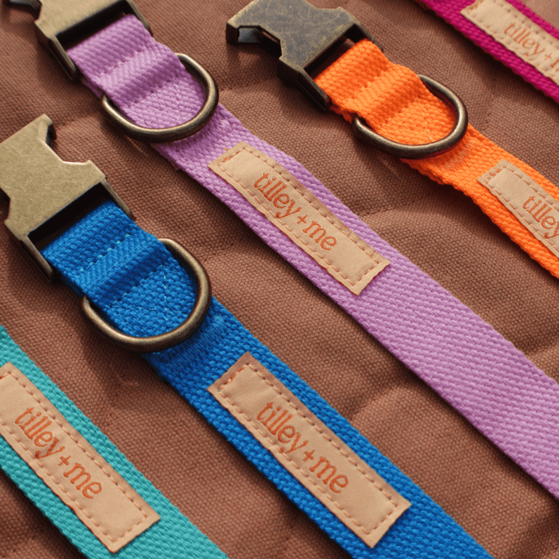 Malibu Sunset Sustainable Hemp Cotton Adjustable Dog Collar– Durable & Soft - Collars + Leashes - Tilley + Me