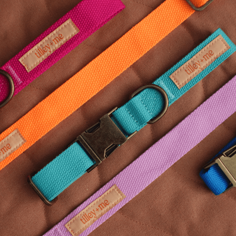Dog Leash Hemp Cotton Sustainable Blue 🦮