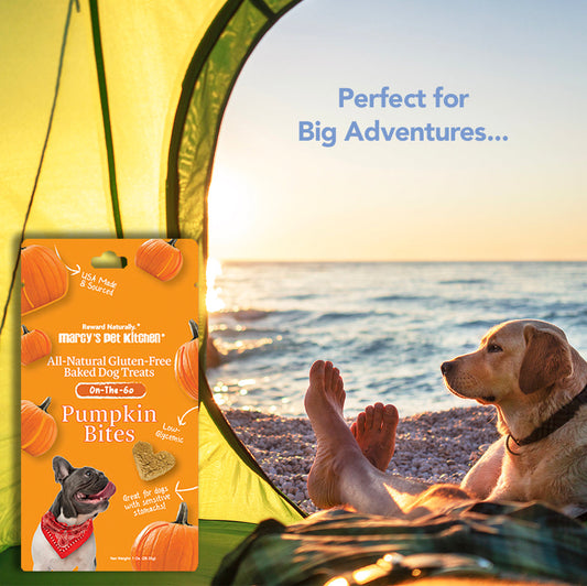 Marcy's Pet Kitchen All-Natural Pumpkin Bites Gluten-Free Dog Treats for Adventurous Pets