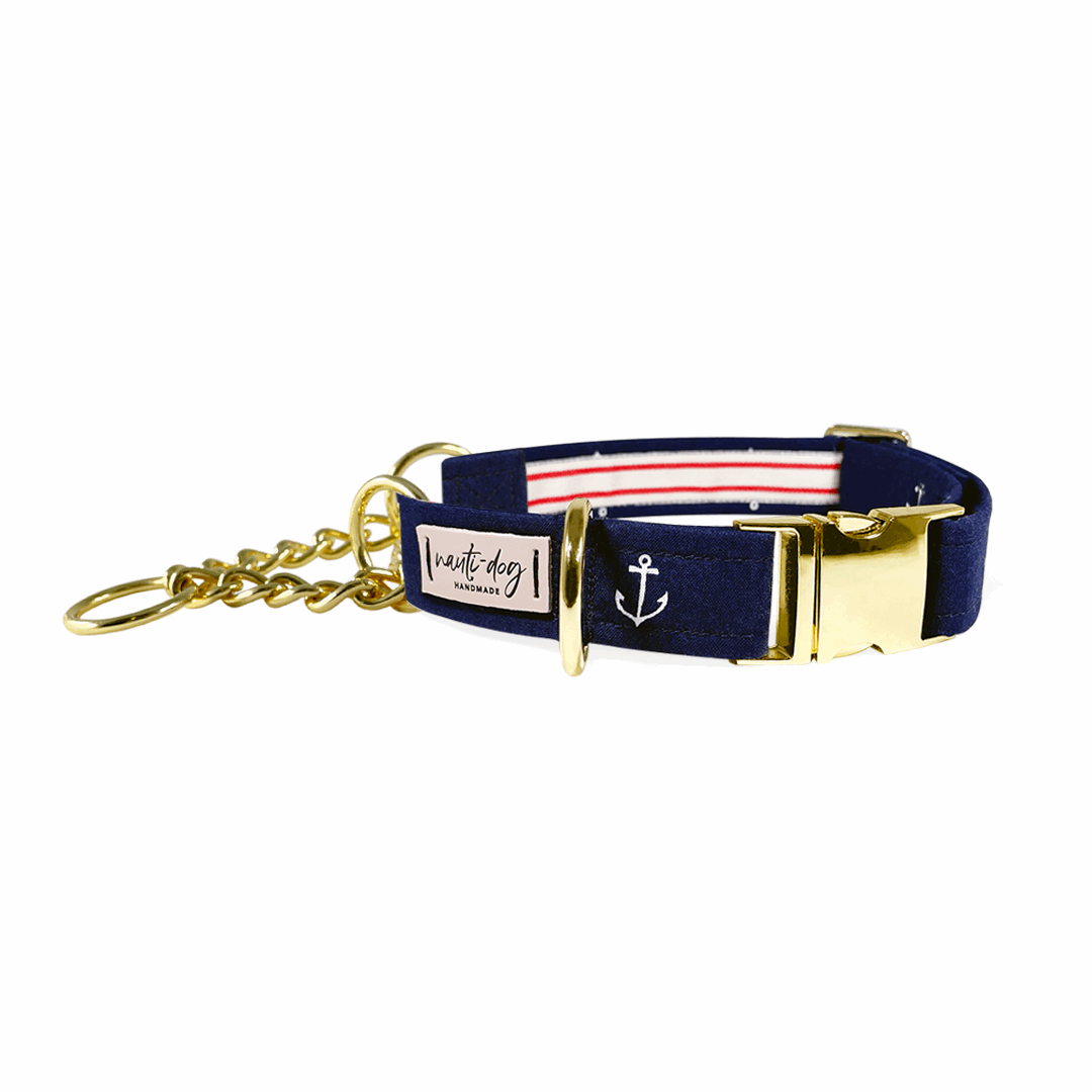 Nauti-dog Handmade martingale dog collar with anchor design in navy blue and gold accents