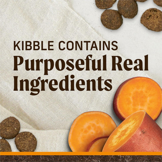 Healthy dog food with real ingredients featuring kibble and sweet potato for nutritious meals