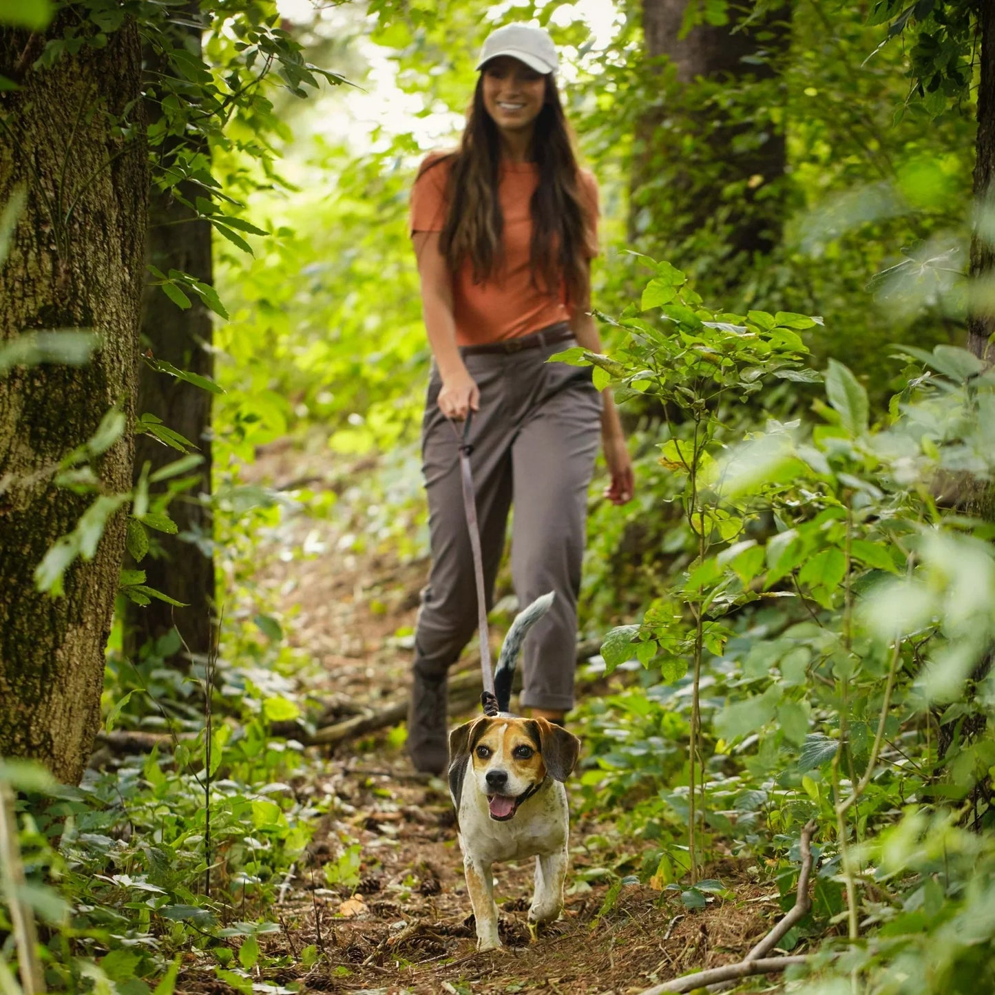 Purrfect Pet Kingdom small breed dry dog food with pumpkin for maintaining your dog's health and vitality