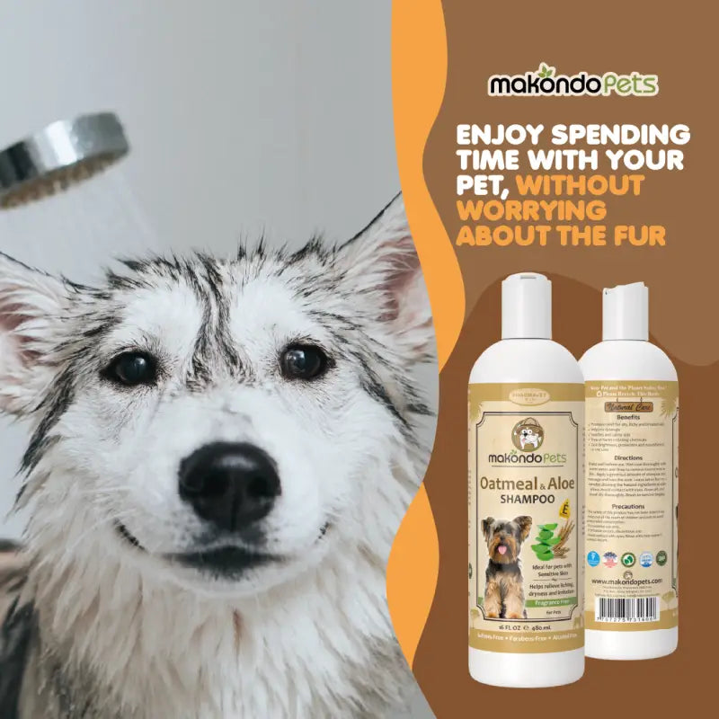 Dog Shampoo Oatmeal Aloe Vera Sensitive Skin 16 Oz 🧼