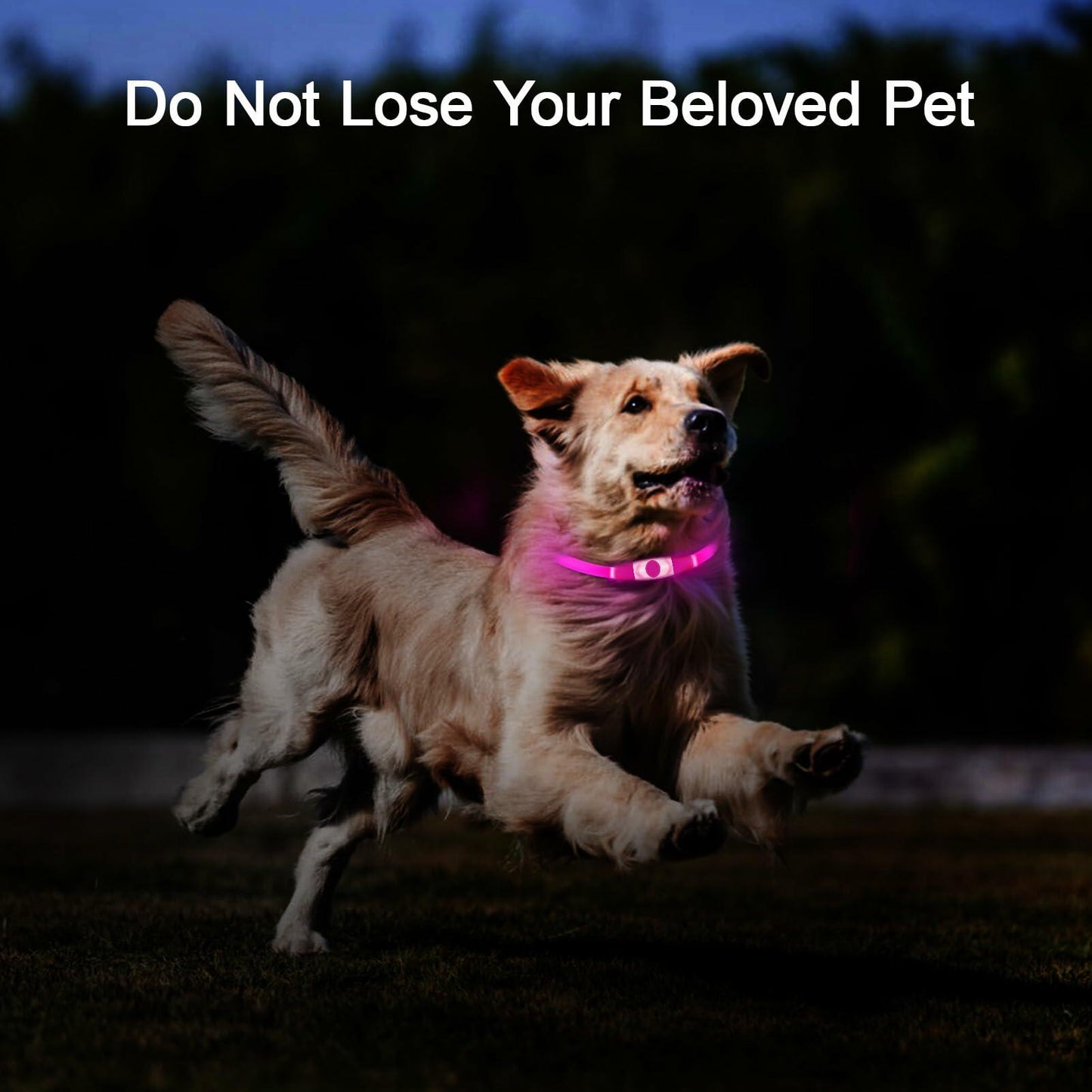 Flycoco LED Rechargeable Dog Collar Light Pink USB Adjustable