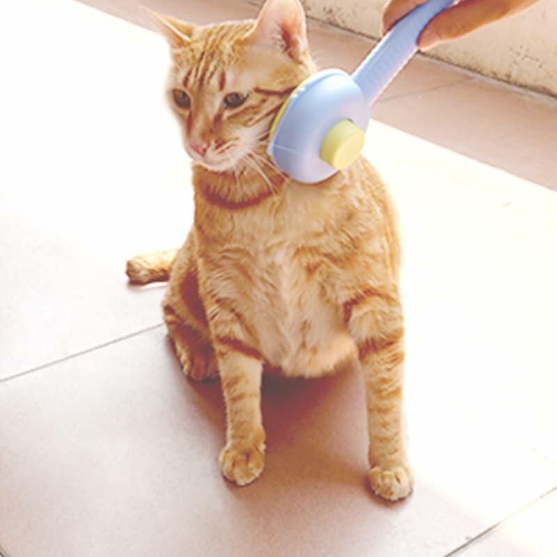 Landwill Pet Brush Yellow Bear Self Cleaning Grooming Tool for Cats & Dogs - Brushes, Combs & Rakes - Deal US