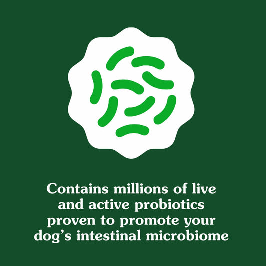 BestBy01/25 Greenies Digestive Health Probiotics DogTreats