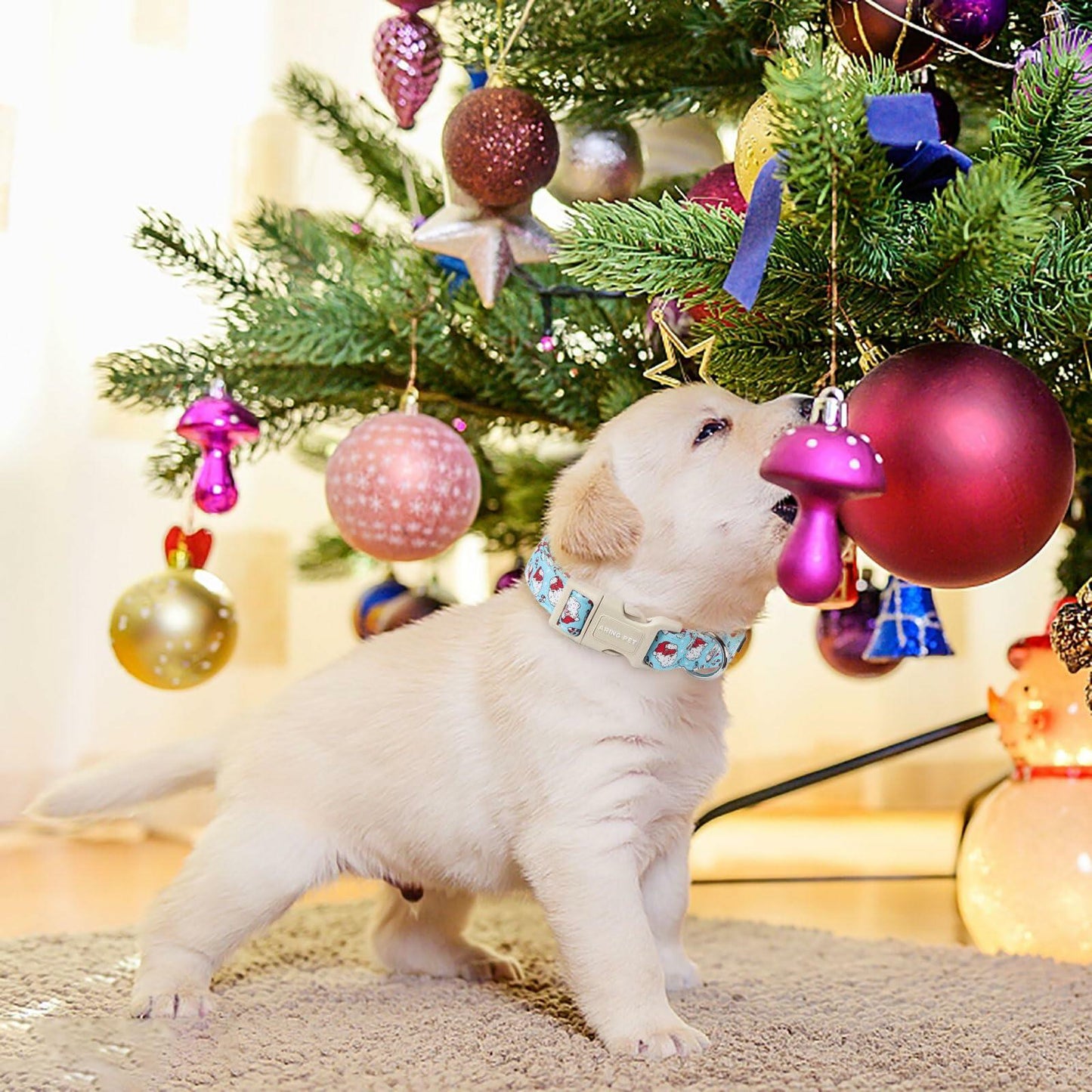 ARING PET Christmas Dog Collar