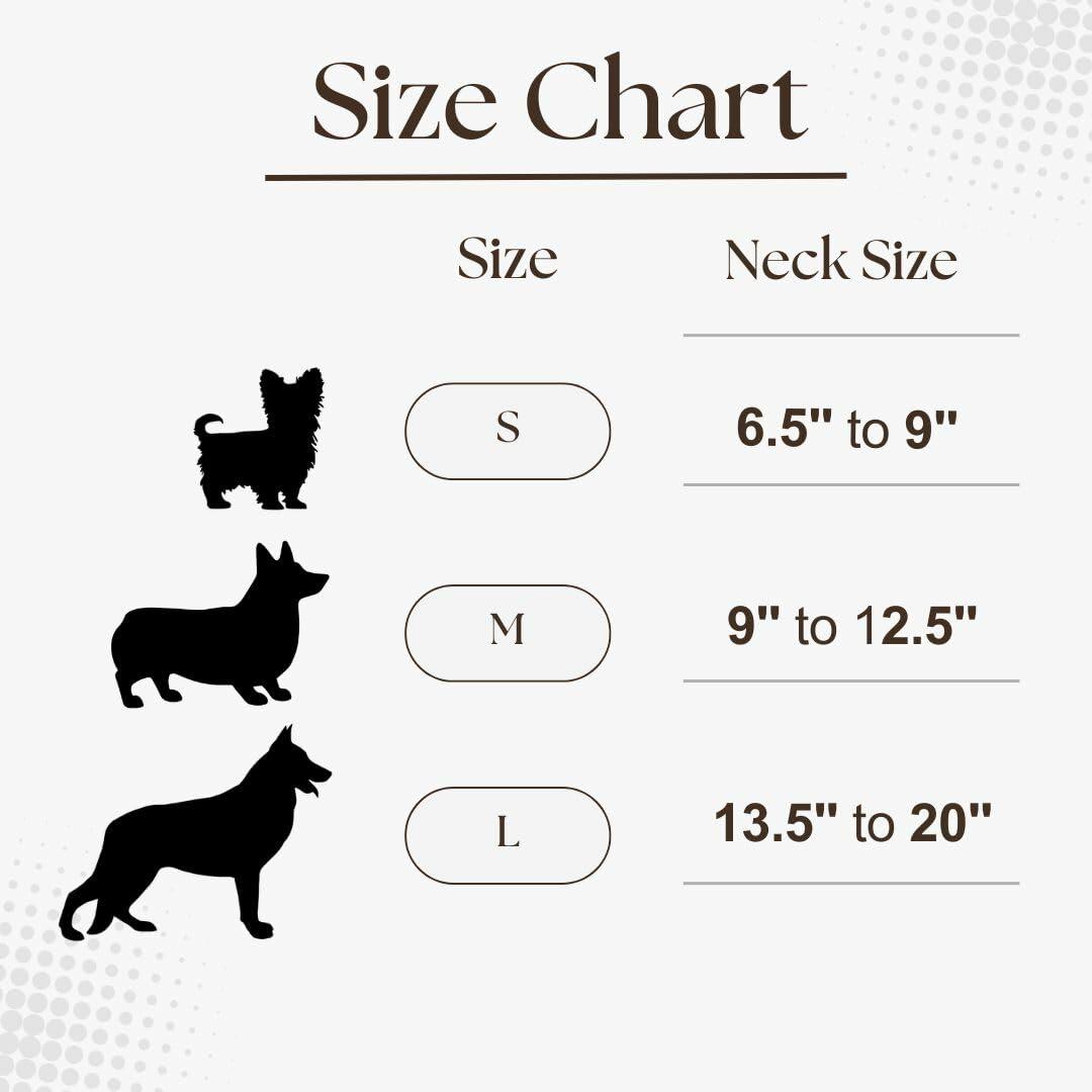 Premium Dog Collar by Blue Small Feathered Rose - Purrfect Pet Kingdom