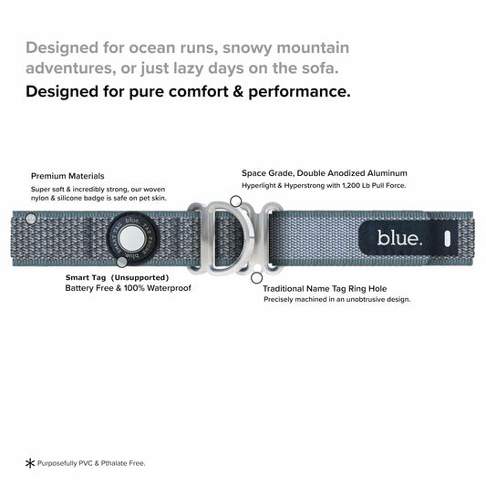 Premium Dog Collar by Blue Small Feathered Rose