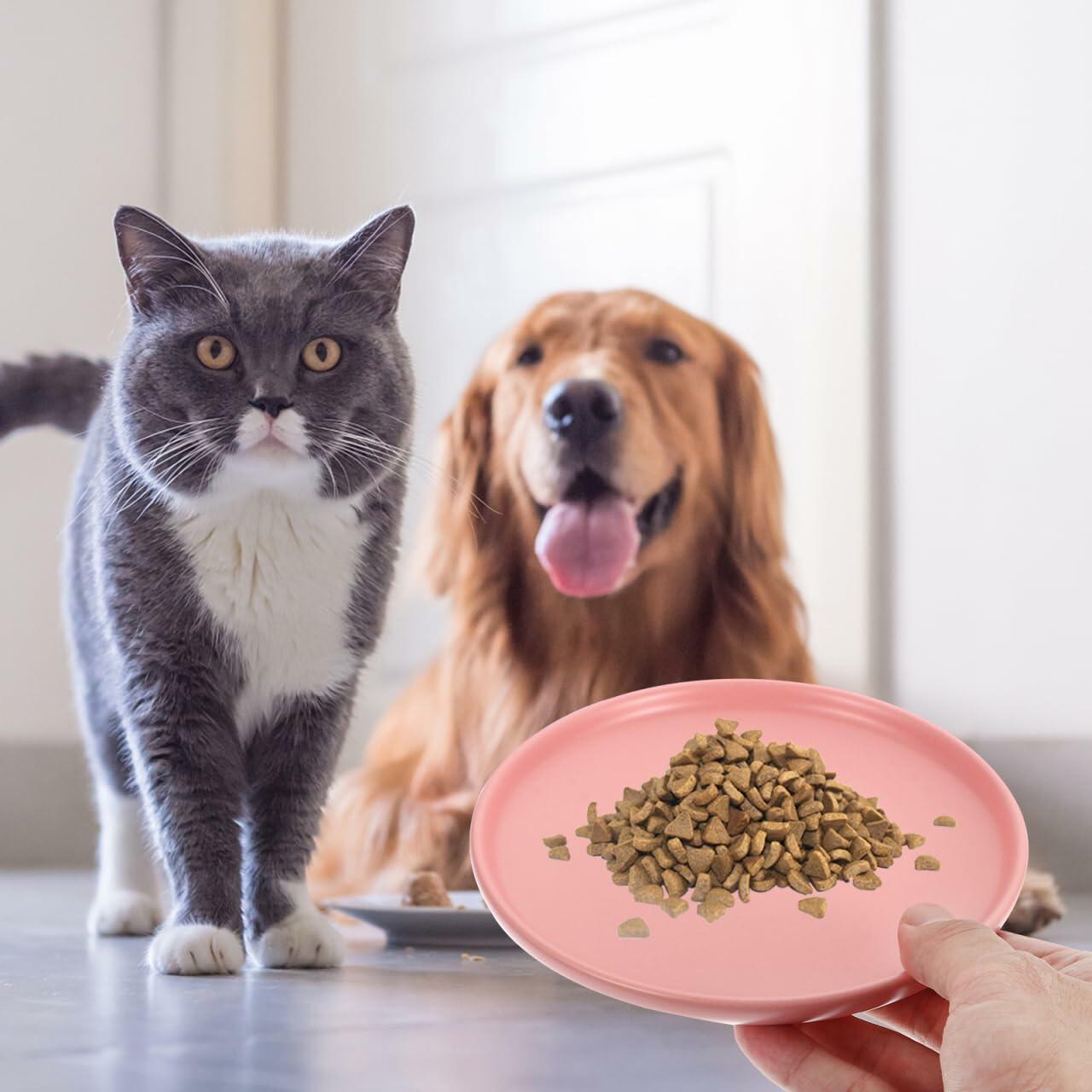 Balacoo Ceramic Cat Food Bowl Shallow Whisker Friendly Indoor Dish - Dishes, Feeders & Fountains - Deal US