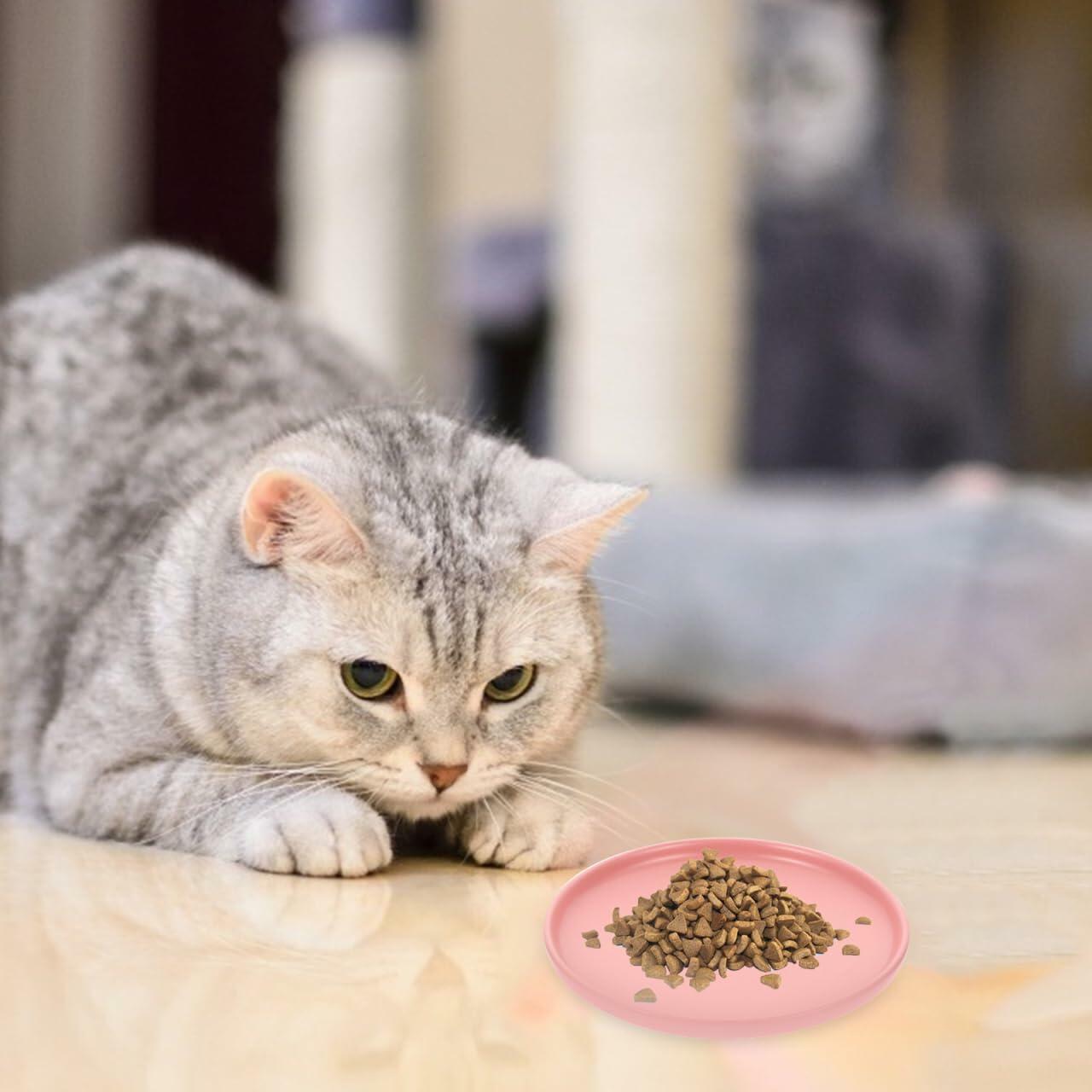 Balacoo Ceramic Cat Food Bowl Shallow Whisker Friendly Indoor Dish - Dishes, Feeders & Fountains - Deal US