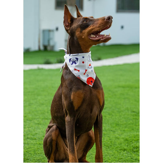 Dog Bandanas White Birthday 2 Pack