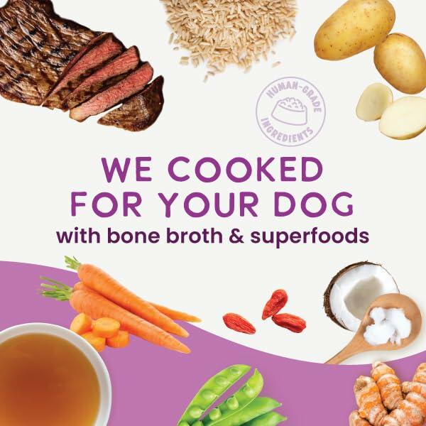 BestBy12/26 Health Extension Beef & Potato Dog Food 9oz Pouches Case of 5 - Dog Food - Deal US