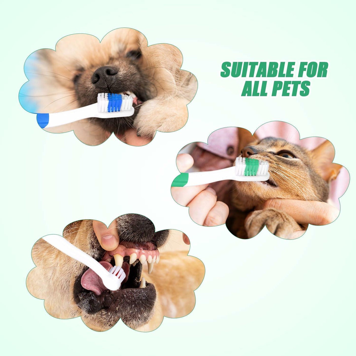 Pet Toothbrush - Dual Headed Soft Bristle Dental Care 3-Pack