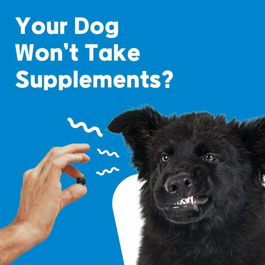 Dog Vitamins-NeLM Daily Multivitamin Health Support Tablets