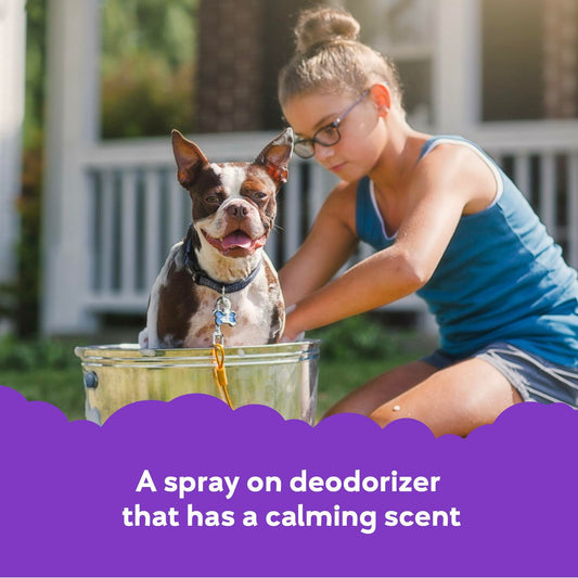 Buddy Splash Spritzer & Conditioner Dog Grooming Lavender Mi