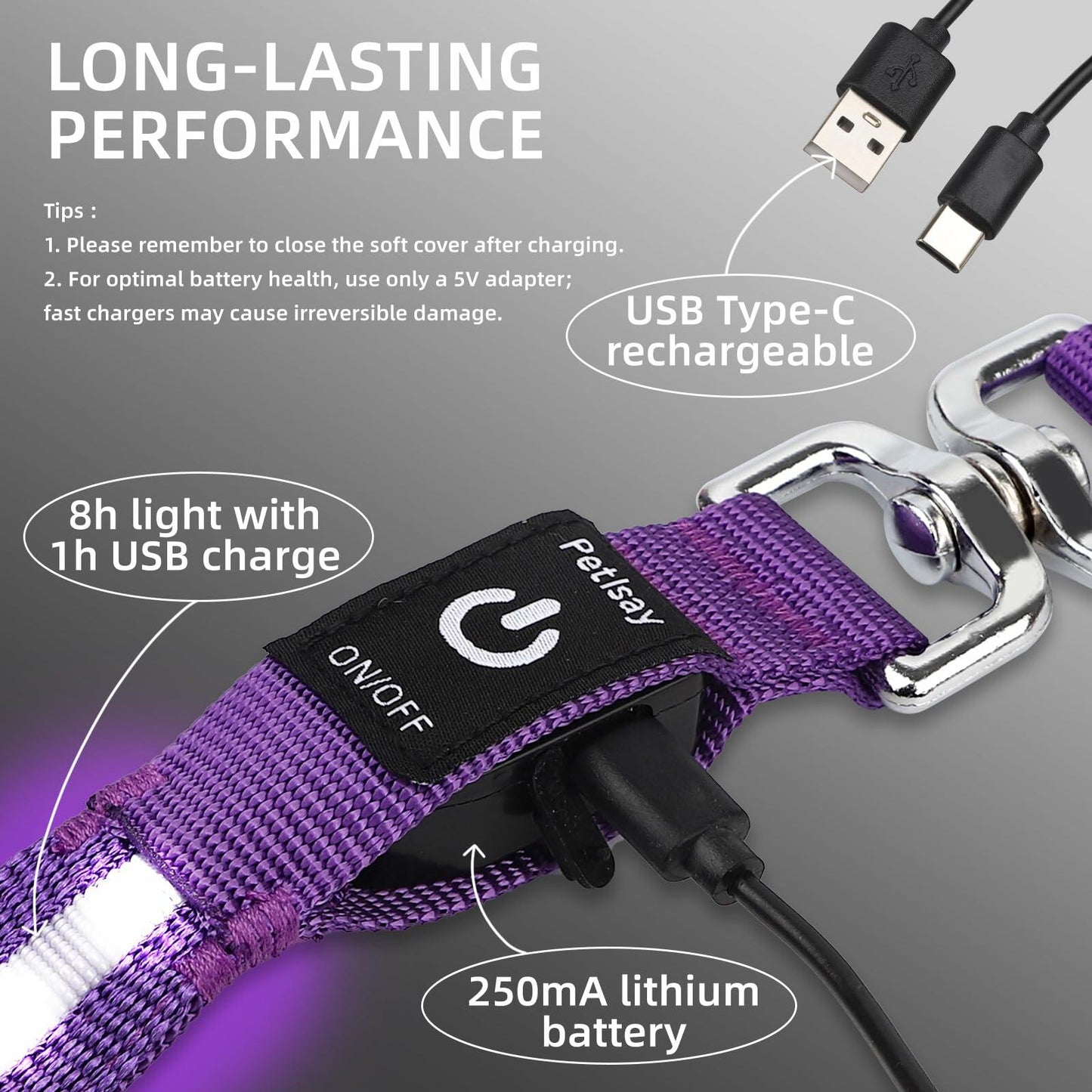 PetIsay Light-Up Dog Leash 6FT USB-C Rechargeable Waterproof