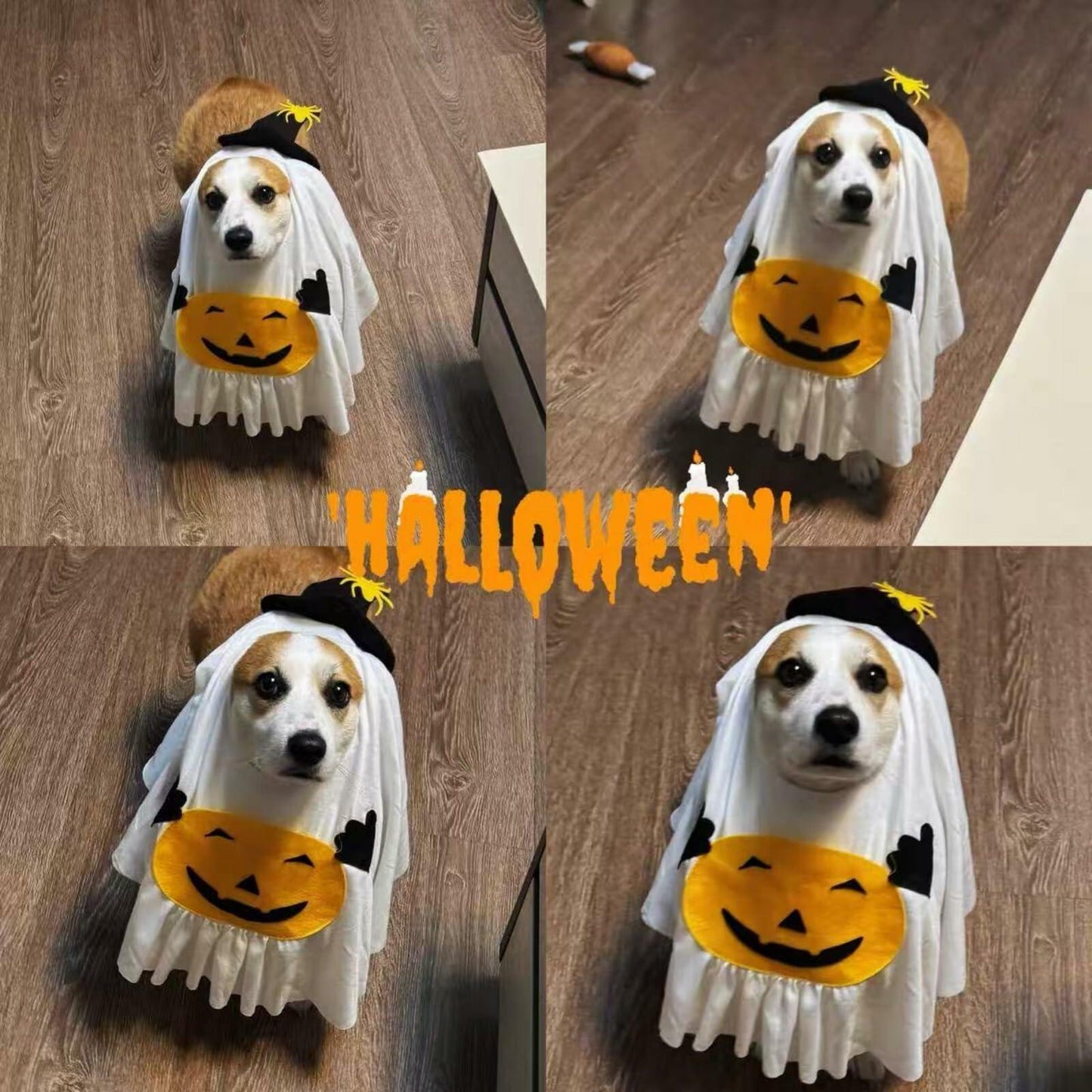 Dog Cat Halloween Pumpkin Ghost Costume Funny Cute Pet Outfit