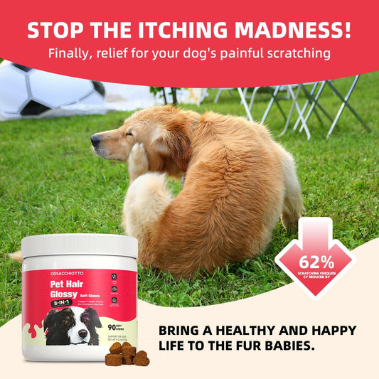 Dog Supplement-Orsacchiotto Collagen Chews for Joint Health