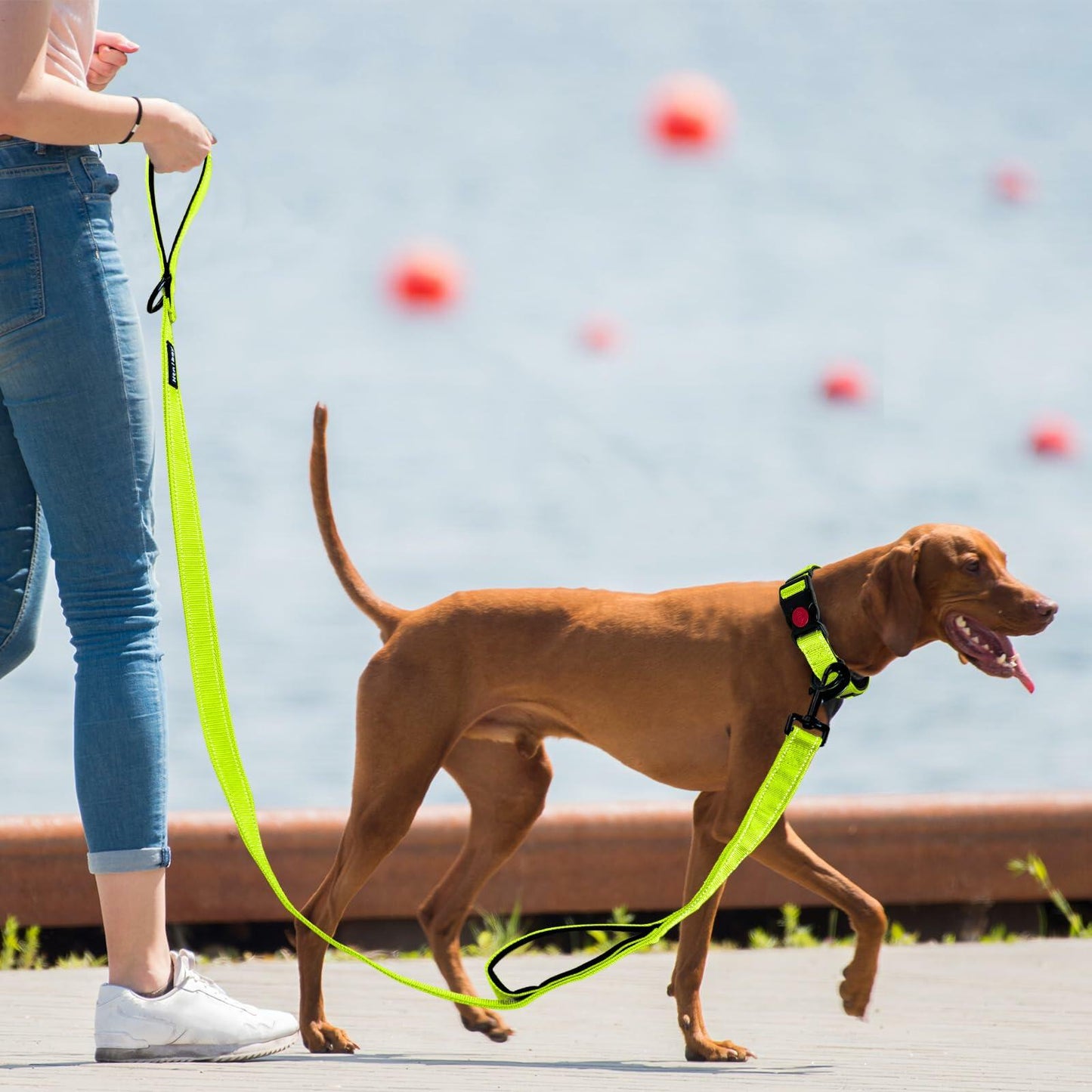 Htnlbqy Dog Leash Large Nylon Reinforced Reflective 5FT Brig