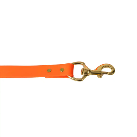 Barrows Dog Leash - Orange | Purrfect Pet Kingdom