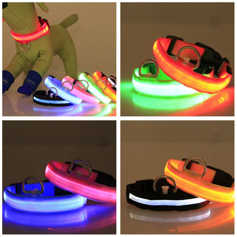 Royal Luminous Safety Pet Collar Adjustable LED Night Visibility ๐ก๐
