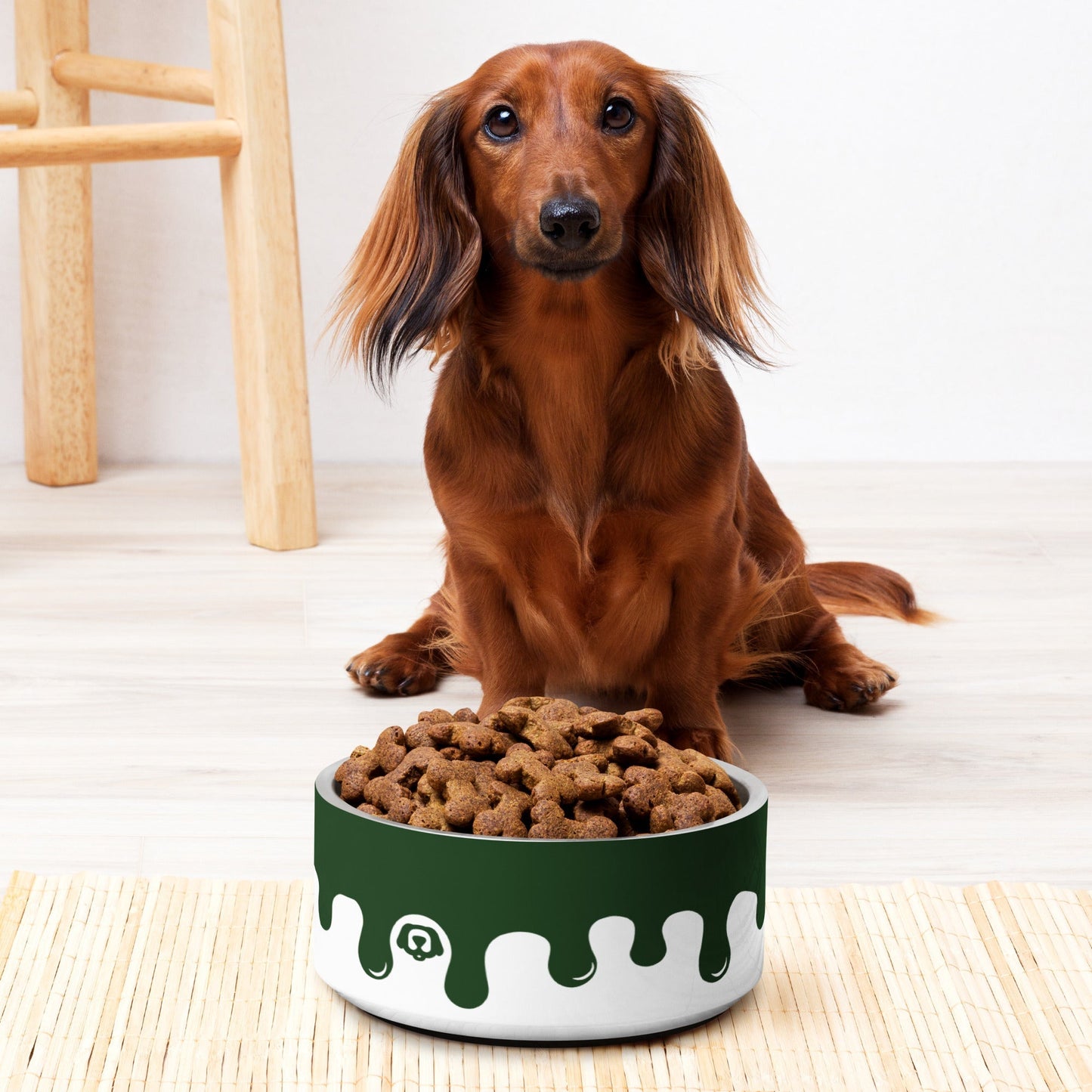 Pawcasso Broccoli Paint Drip 32oz Dog Bowl - Dog Bowls & Feeders - Wuforia
