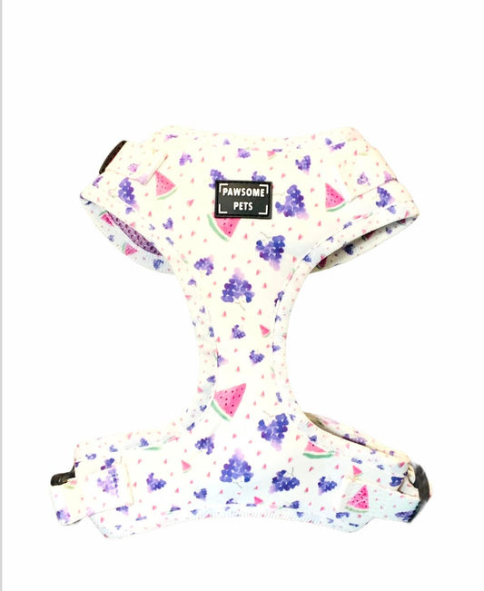 Watermelon grape pet harness set from Tail Chasers with a vibrant fruit pattern for stylish dogs