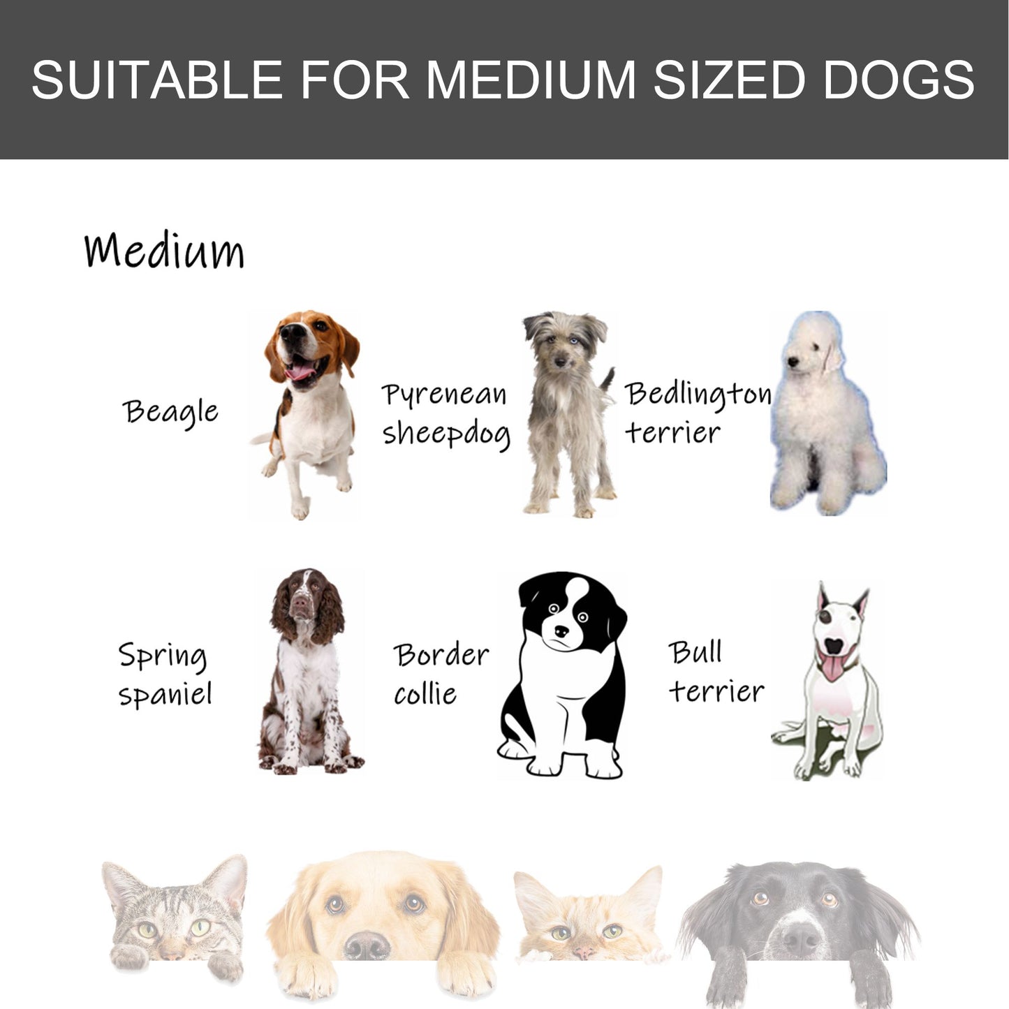 Purrfect Pet Kingdom Foldable Metal Dog Kennel 37 Inch Purrfect Pet Kingdom