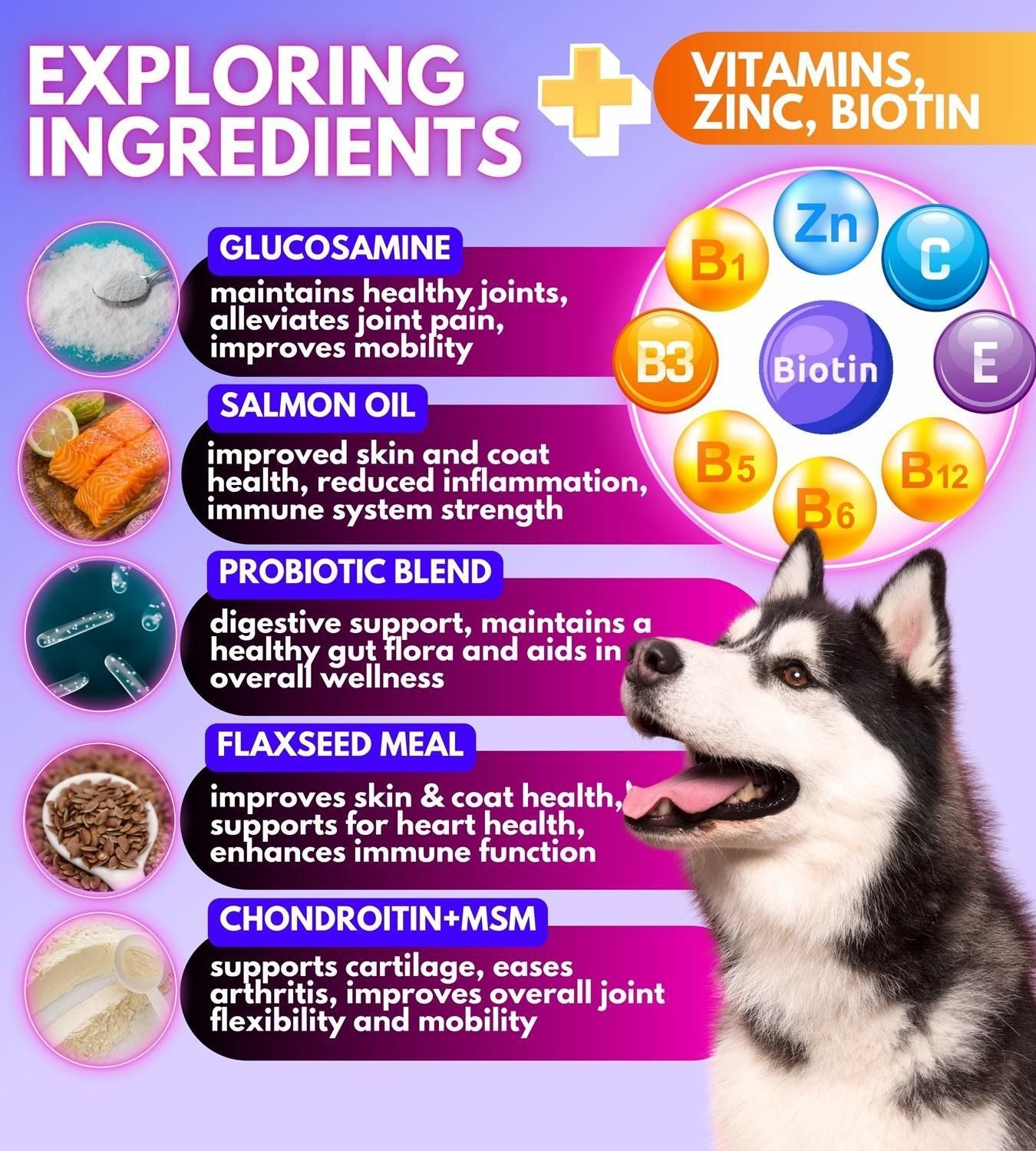 Pawious Dog Multivitamin with Glucosamine for Hip & Joint - Purrfect Pet Kingdom