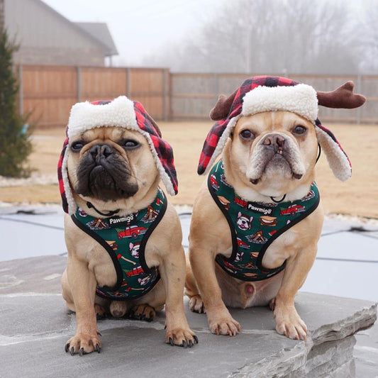 Lumbersnack Reversible Harness Dog Harness | Purrfect Pet Kingdom