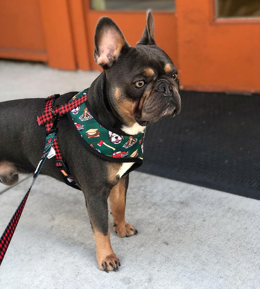 Lumbersnack Leash Kit Dog Leash | Purrfect Pet Kingdom