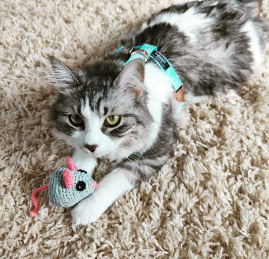 Tail Chasers no pull step in pet harness for cats, designed for comfort and easy wear