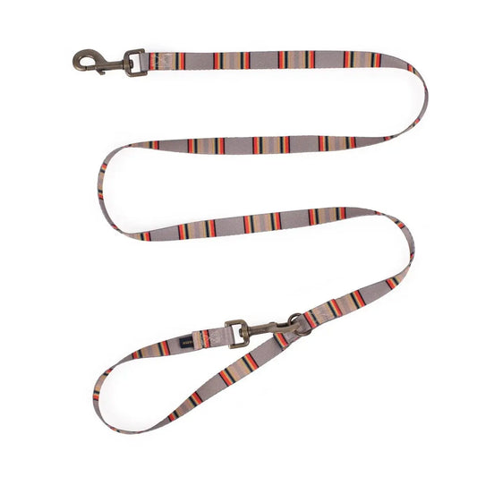 Pendleton Adventure dog leash with colorful stripes for stylish outdoor walks