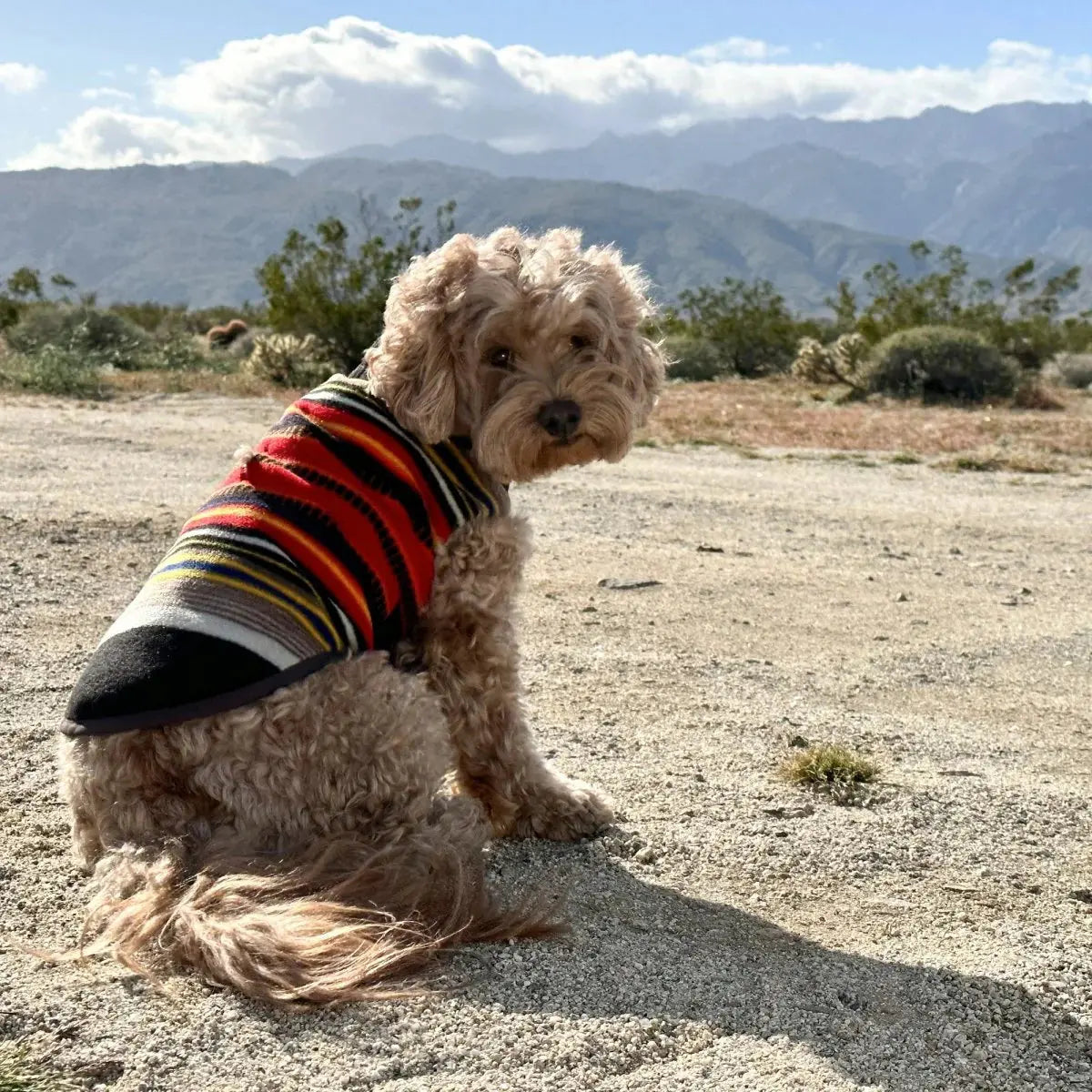 Dog Vest Pendleton National Park Warm Outdoor 🧥