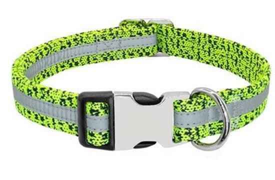 Purrfect Pet Kingdom personalized pet ID collar in neon green with reflective strip and buckle