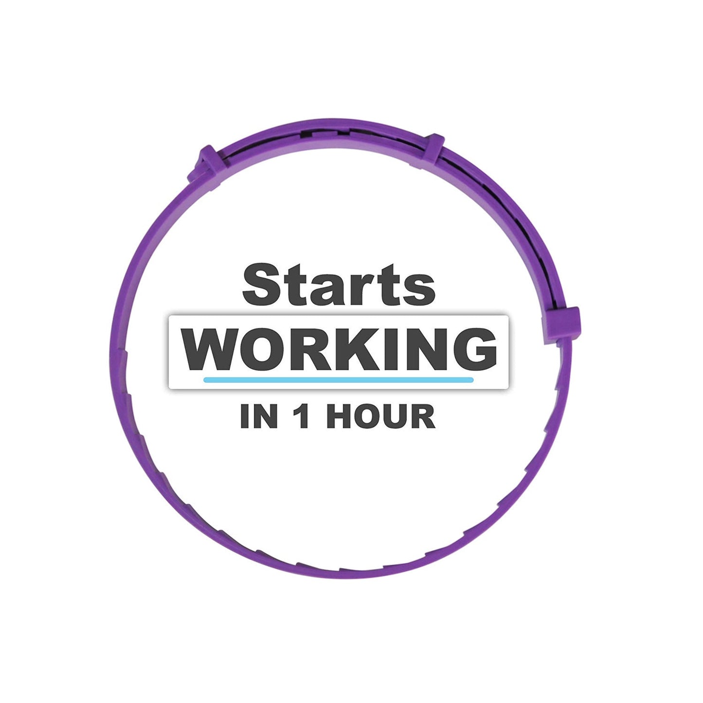 Pet Calm Collar Cat Comfort Collar Relieve Anxiety - Purrfect Pet Kingdom