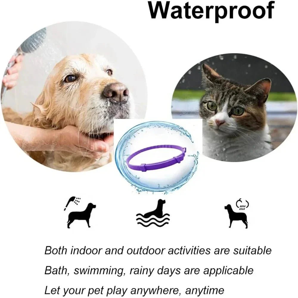 Adjustable Pet Calming Collar - Anxiety Reducing Pheromone for Lasting Relaxation