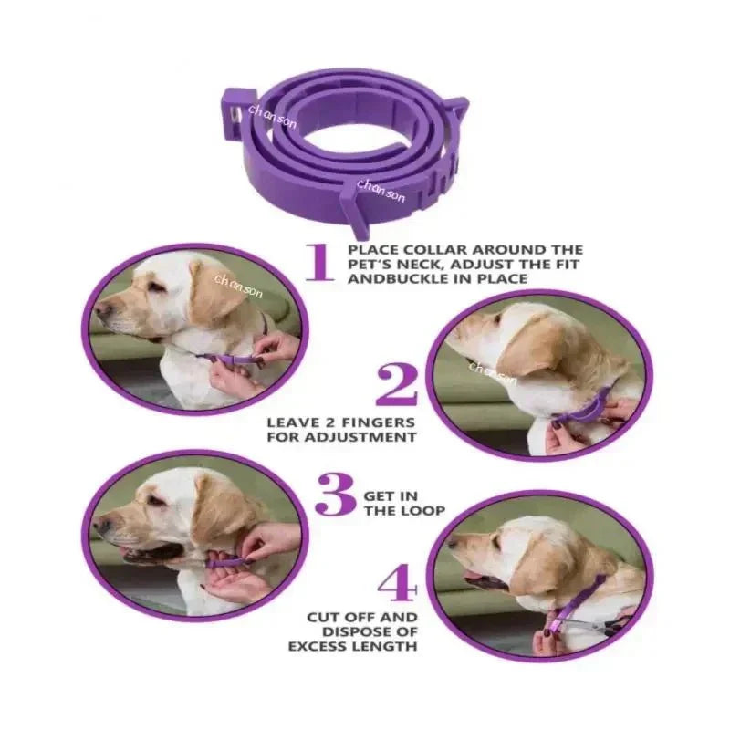 Adjustable Pet Calming Collar - Anxiety Reducing Pheromone for Lasting Relaxation - Purrfect Pet Kingdom