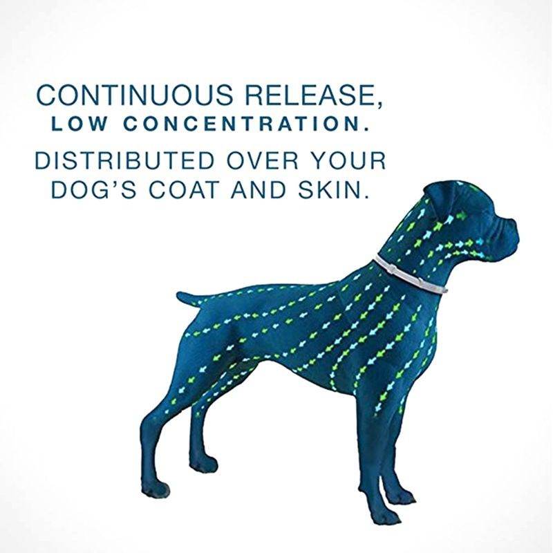 Illustration showing continuous release and low concentration of flea and tick collar for pets distributing over dogโs coat and skin