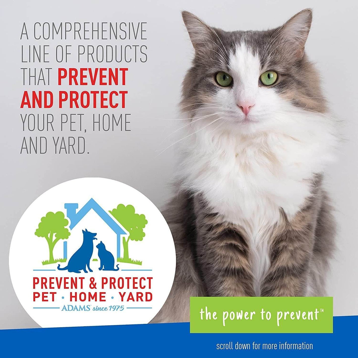 Purrfect Pet Kingdom flea and tick collar for pets promoting prevention and protection for pets home and yard